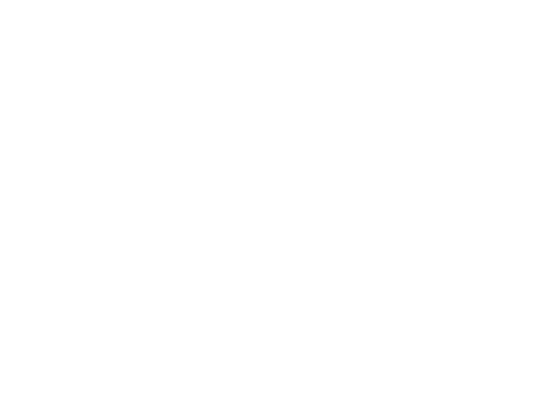 SPORTS PALACE INTERNATIONAL